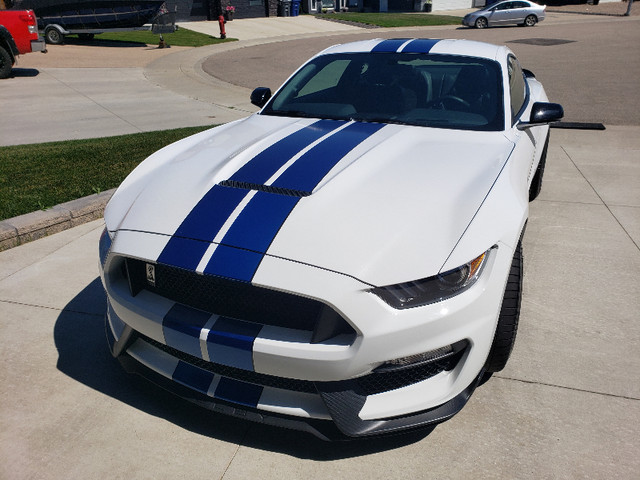 *Rare* 2018 Ford Shelby GT350 in Cars & Trucks in Saskatoon - Image 3