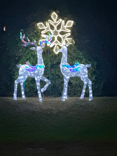 Outdoor Christmas/Winter Light Display, View more