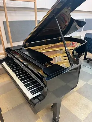 Yamaha Grand Piano and Ibach Grand Piano, View more