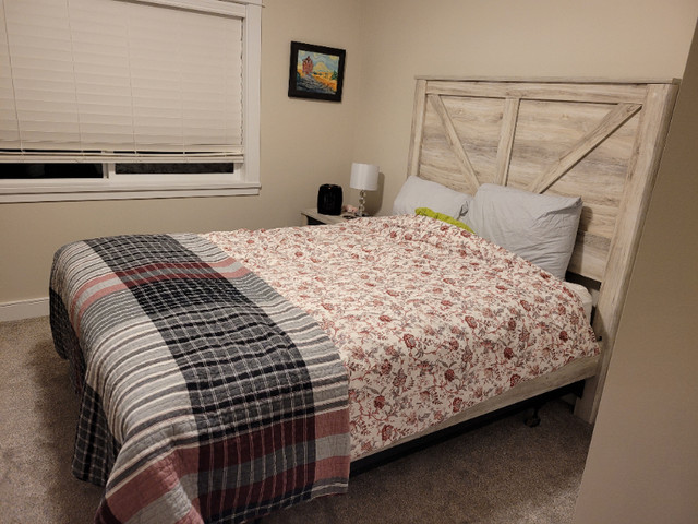 Room for rent $875 in Long Term Rentals in Comox / Courtenay / Cumberland - Image 2