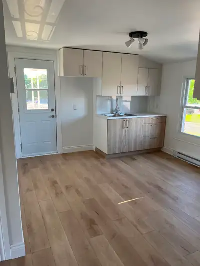 3½ entièrement rénové à louer – Granby (Boul. Leclerc Ouest) -Logement entièrement refait à neuf -Si...