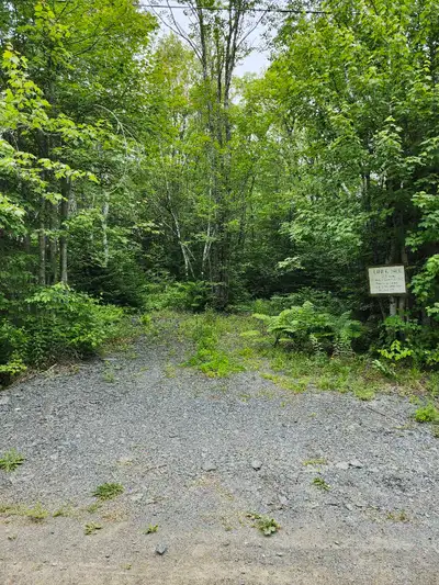 2.5 wooded acres with driveway and culvert. Recently surveyed. 2 mins from paved road, 10 mins to Be...