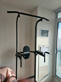 Pull Up & Dip station for home gym