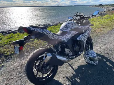 2018 Suzuki GSX250R in Leopard print for sale -original owner, bought new from Cat Shack in Truro in...