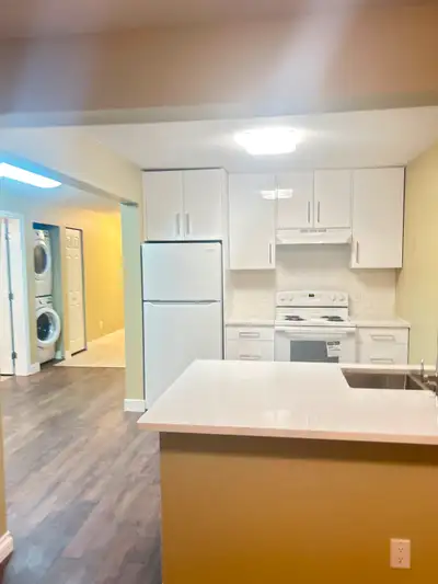 2 Bed 1 bath Newly Renovated Basement Suite for rent