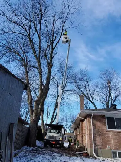 Need Tree Service? Call Easy Tree Care @ (416) 856-3603, View more