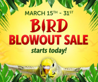 Big Al's Bird Blowout Sale | March 15 - 31, 2024
