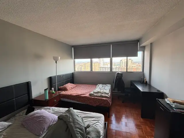 Private Room For Rent (Fall) in Room Rentals & Roommates in Ottawa - Image 5