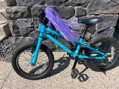 Norco kids 16” bike, View more