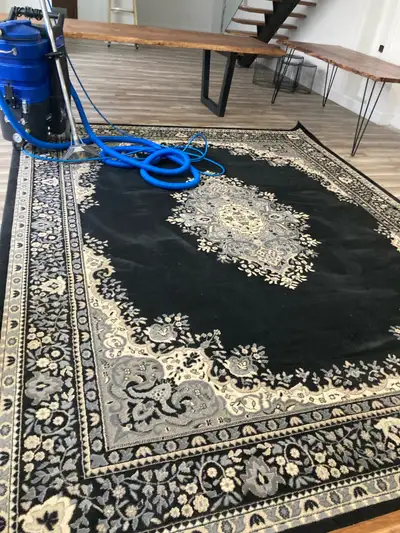 You can contact me to get detailed information and estimates on shampooed carpet, sofa, chair and fu...