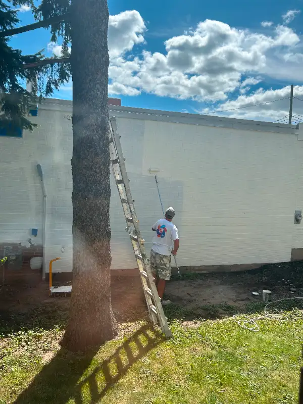 89$ ROOM SPECIAL - PAINTING SERVICES- (LOW COST)62864354931074122