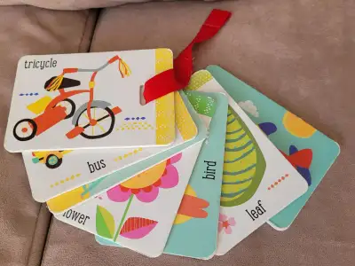 Petite Boutique Out and About Flashcards - foam flashcards that can attach to stroller/carseat. Some...