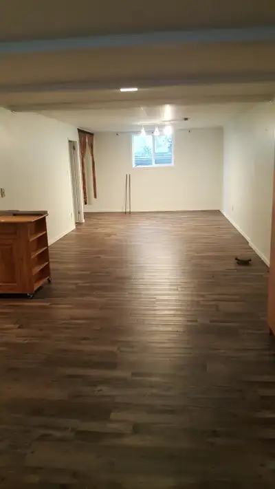 Basement suite for rent