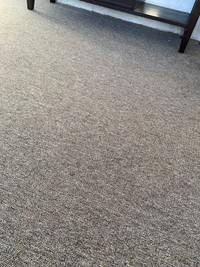 Brand new carpet. 12’x58.5”