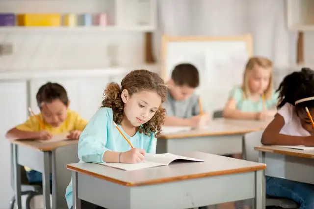 Tutoring and Homework Assistance (Elementary and Secondary)567889615525652481