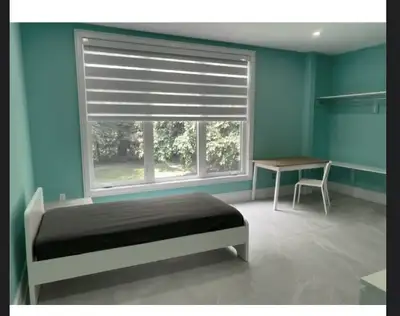 Nice furnished bedroom on 2nd floor of a newly built house With very clean/new private full bathroom...