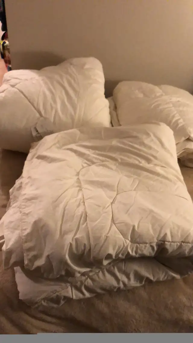 Twin fully enclosed quilted padded mattress cover $75 each in Bedding in Mississauga / Peel Region - Image 9