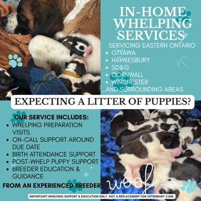 Expecting a litter of puppies? In-Home Whelping Services, View more