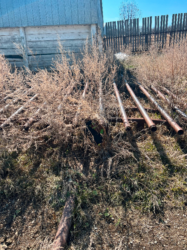 Cattle equipment in Other in Brandon - Image 3