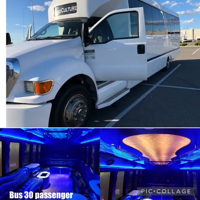 LIMOUSINE LIMO -WEDDING BIRTHDAY CLUB NIAGARA PARTY BUS LIMO