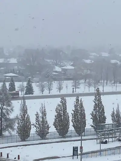 Hardworking Guy looking for Snow removal Job, View more