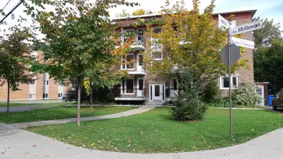 Limoilou. Joli logement frais peint (tout en blanc) dans immeuble de 7 logements, 2 grandes chambres...