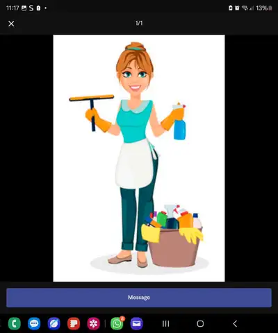 cleaner & cleaning, View more