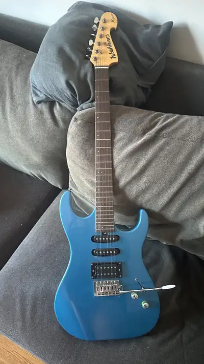 Washburn Guitar, View more