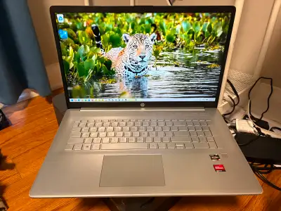 17.3 " HP HD LAPTOP AMD RYZEN 3 5300U 12 GB RAM, 1 SSD & 1 HDD, View more