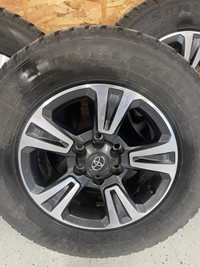 Tacoma TRD Sport wheels 