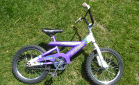 Norco 16-inch bike with training wheels
