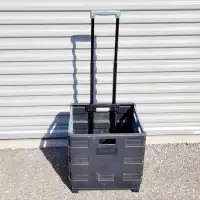 Staples Plastic Mobile Utility Cart with Dual Wheel