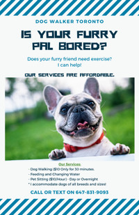  Professional Dog Walking and Pet Sitting Services 