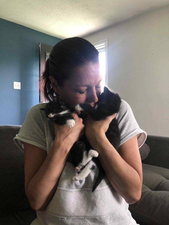 rescue babies ready ❤️ in Cats & Kittens for Rehoming in Moncton - Image 4