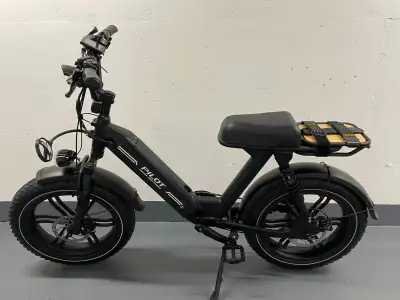 Delivery e-bike, View more
