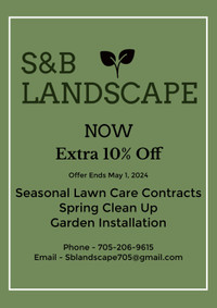 Spring clean ups and Lawn care services 