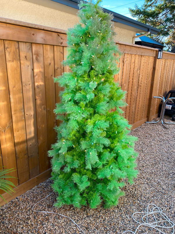 7 Foot Tall Light Green Prelit Christmas Tree in Holiday, Event & Seasonal in Winnipeg