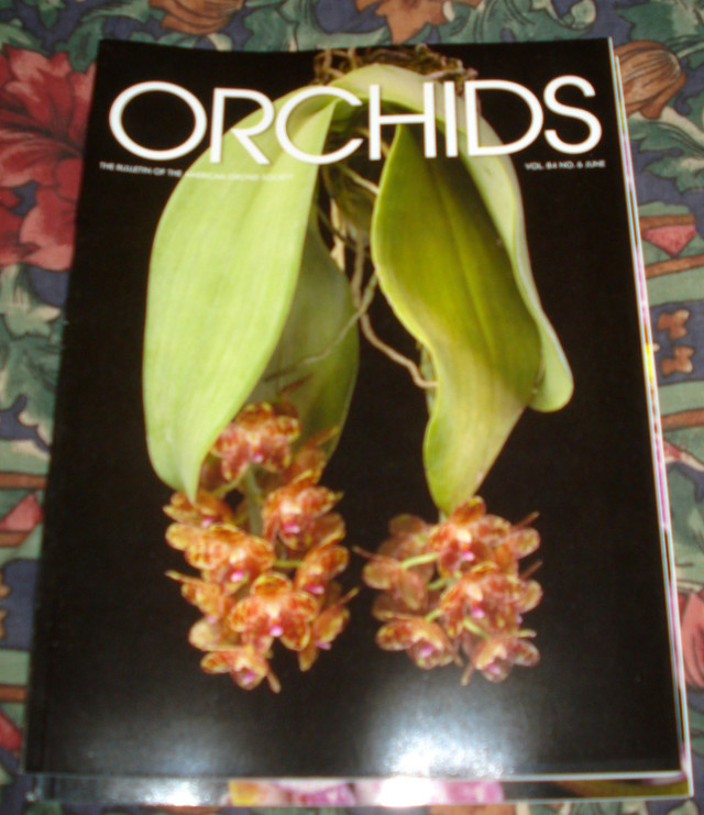 163 issues of Orchids magazine in Magazines in Kingston - Image 2