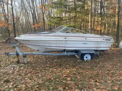 Boat and trailer for sale, boat needs some tlc has been sitting for couole years covered but uncover...