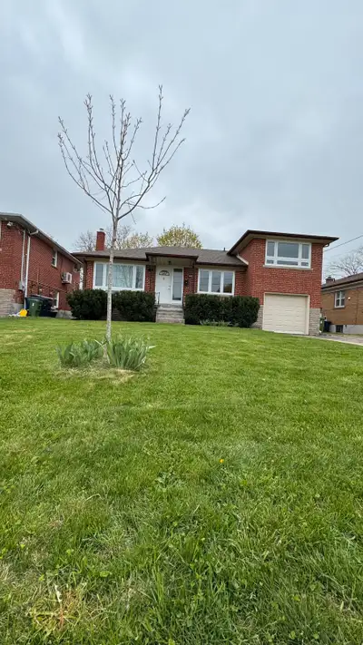 for rent (basement)