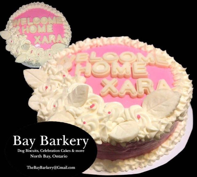 Cakes for your dog by Bay Barkery toy in Accessories in North Bay - Image 4