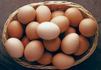 Pasture raise Eggs for sale