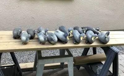 13 APPELANTS / DECOYS, View more