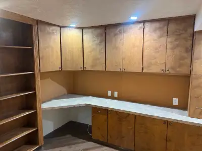 Custom cabinets and book shelves Need these gone Monday June 15 , these are in great condition and m...