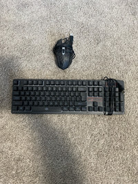 RGB Keyboard and Mouse