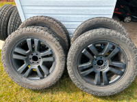 Ford Harley Davidson 22" Rims and Tires