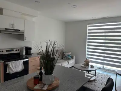 One bedroom condoJuly 1st