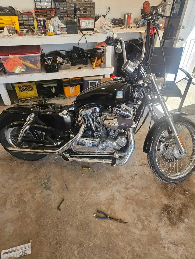 2004 sportster in Street, Cruisers & Choppers in Moose Jaw - Image 3