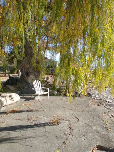 Lake Erie waterfront cottage for rent, View more