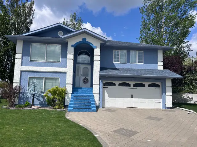 Professional Painter424774577076971522